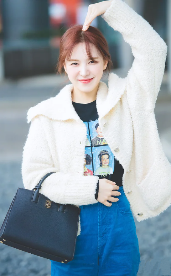 36위 [레드벨벳 웬디] BURBERRY 버버리 스몰 프란시스 백