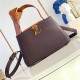 LOUIS VUITTON 루이비통 카푸신 스몰/미듐 M48865